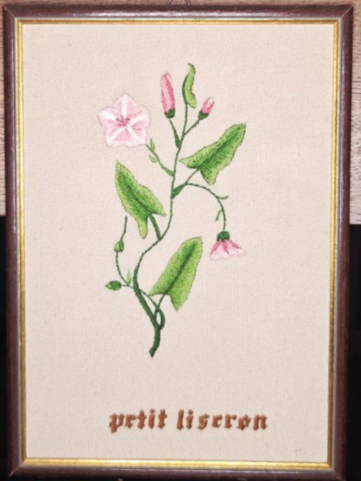 Dipinti: Broderie - Petit Liseron - 32 x 23 cm – Usato da Plan-les-Ouates venduto da NomadeMarchand