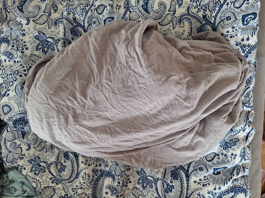 Biancheria da letto: Älteres Fixleintuch und Badtücher Gratis – Usato da Oberuzwil venduto da Plantglueck97 1