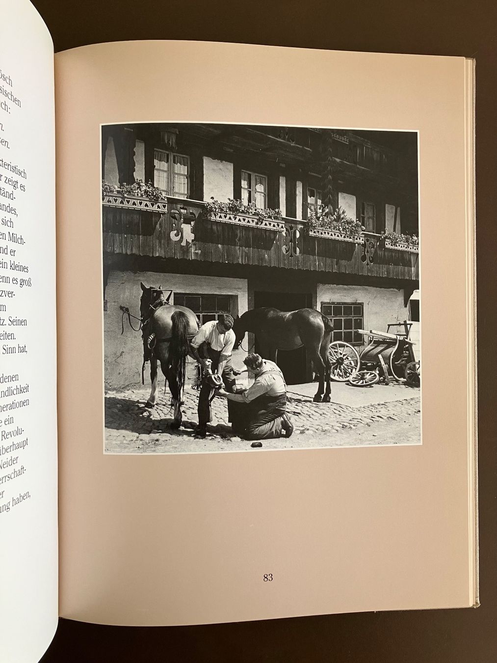 Libri: Emmental - Bildband v. Ernst Eggimann u. Walter Studer – Usato da Menziken venduto da timbuktu1001 8
