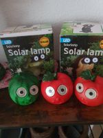 Solar Frosch & Maulwurf  & 3  Früchte