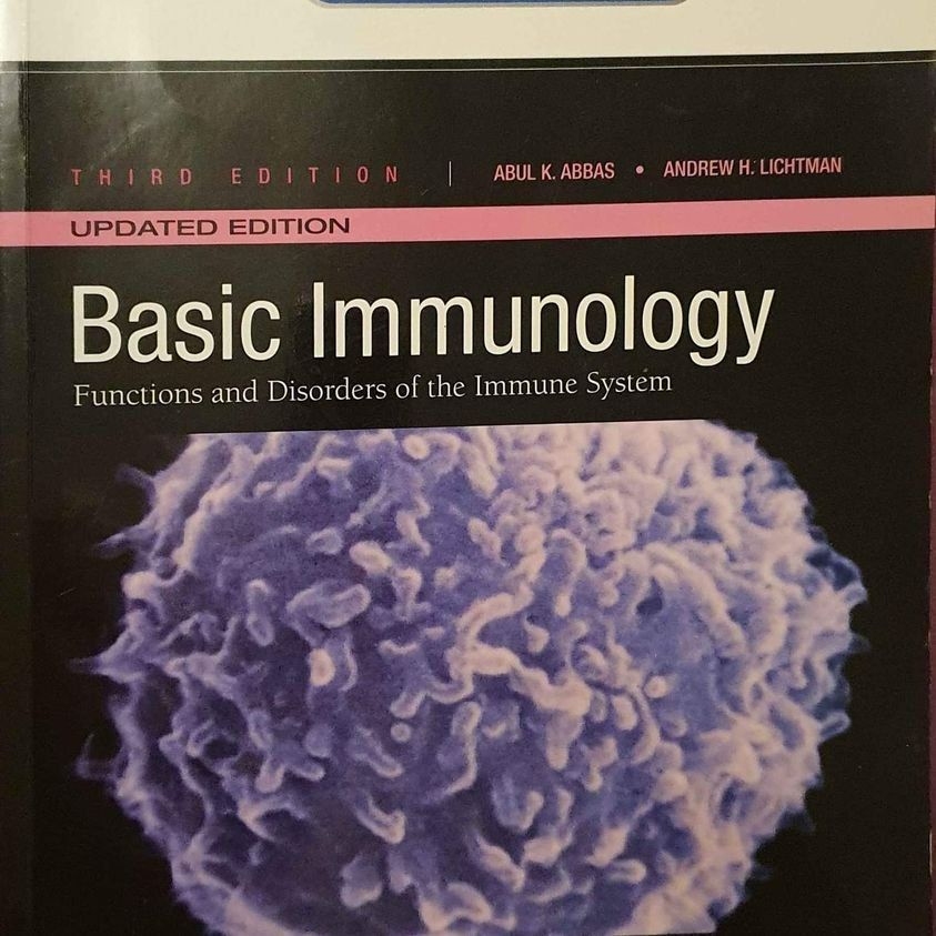Libri: Basic Immunology: Functions & Disorders of the Immune System – Usato da Bitsch venduto da cka_6hff