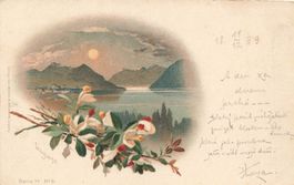 Lugano TI Veduta floreale del lago al tramonto litho