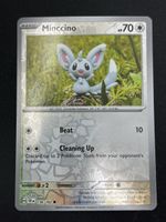 Pokemon Karte Minccino 136/162 reverse Holo yuka Morii🇺🇸