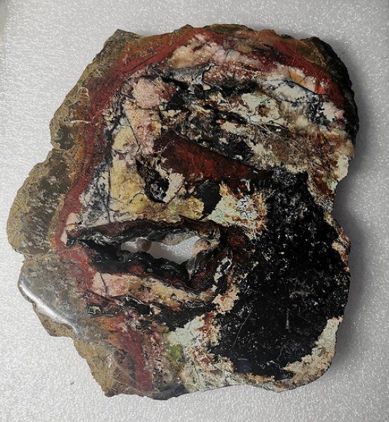 Fossili: Opalisiertes Versteinertes Holz poliert – Nuovo (secondo la descrizione) da Walenstadt venduto da vkt_qc8d 1