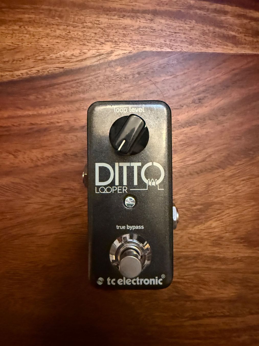 Musikinstrumente: TC Electronic Ditto – Gebraucht aus Aegerten von kiz_52d9