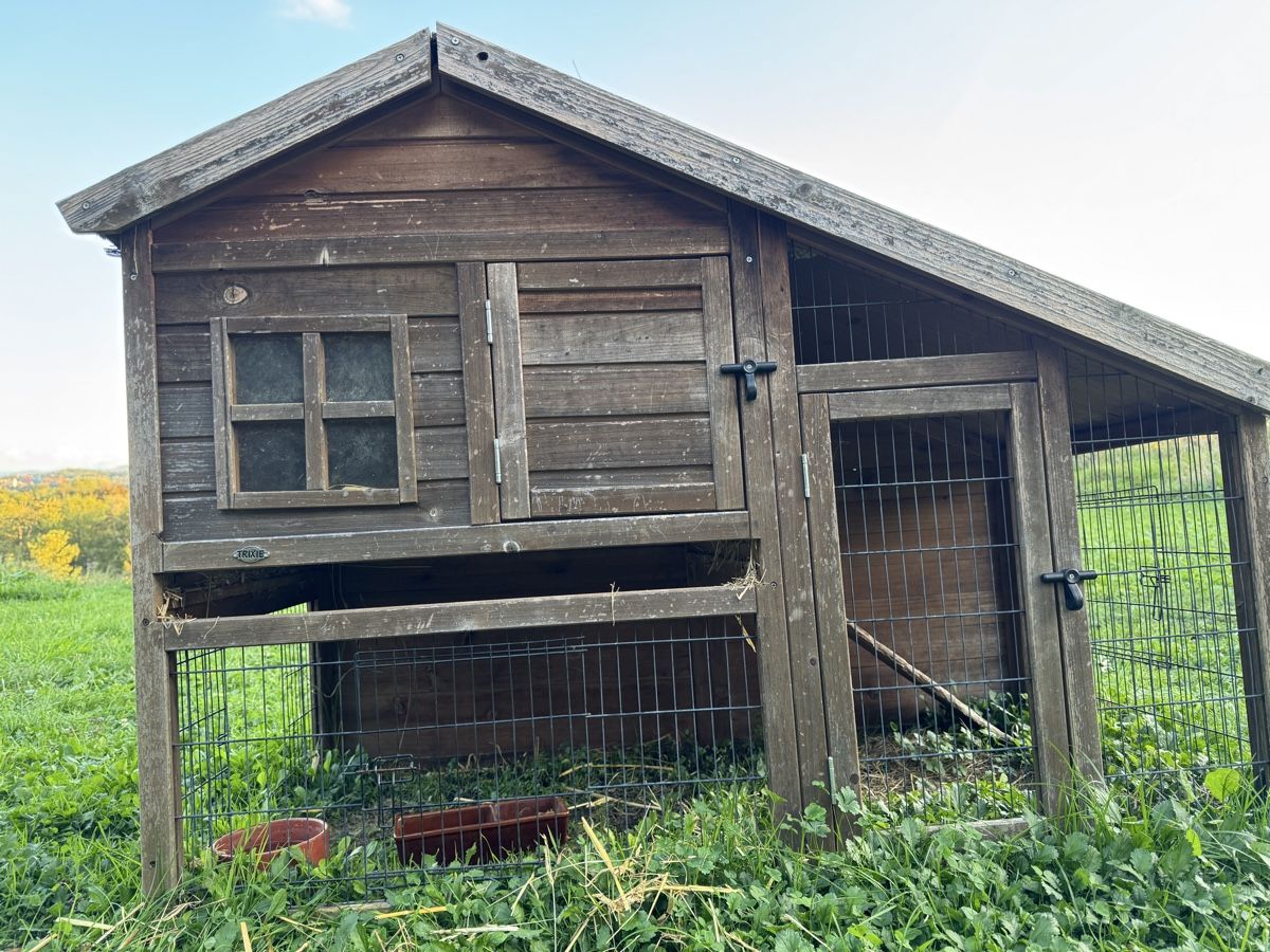 Trixie Gabbie, trasporto & Sicurezza: Kleintierstall Kaninchenstall gebraucht – Usato da Warth venduto da EiffelApril88 1
