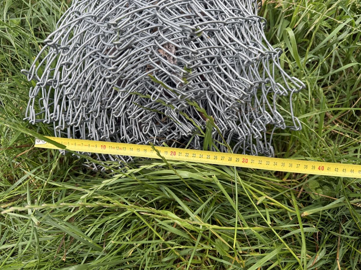 Recinzioni: Zaun Diagonalgeflecht – Usato da Oftringen venduto da sar_5sgb 2
