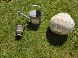 Gartendeko Set: Giesskanne, Übertopf, Laterne Vintage
