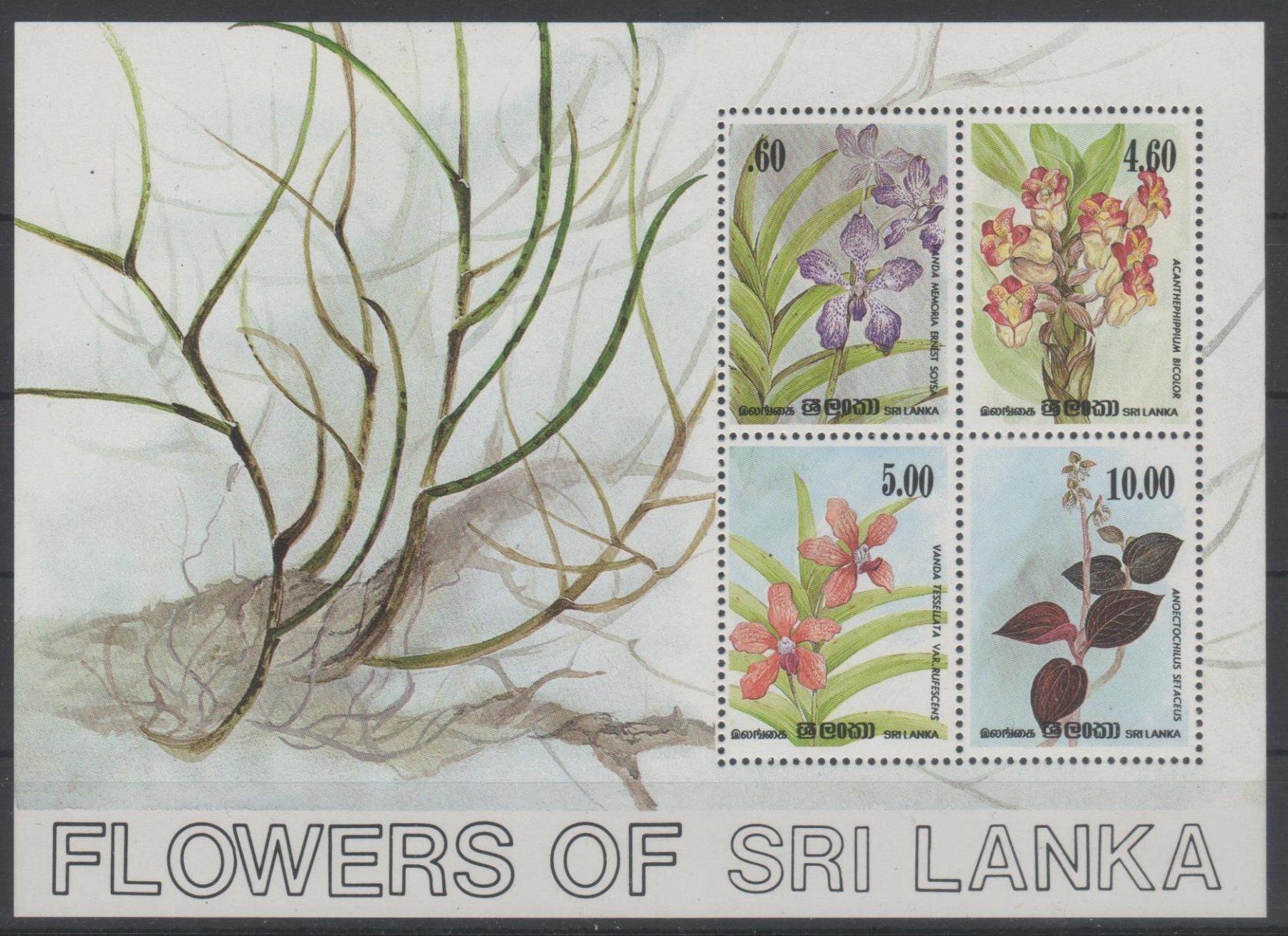 Tutti i francobolli: Sri Lanka 1984 Block 26 Orchideen ** – Nuovo (secondo la descrizione) da Remetschwil venduto da Hofiii