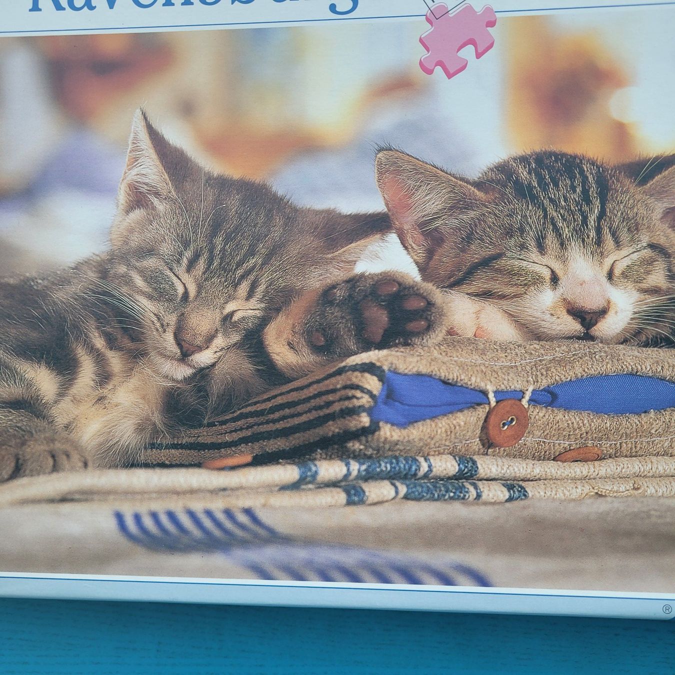 Ravensburger Puzzle: Ravensburger Puzzle/  Katzenträume     1000 Teile – Nuovo (secondo la descrizione) da SCHÜBELBACH venduto da CoKaHa 1