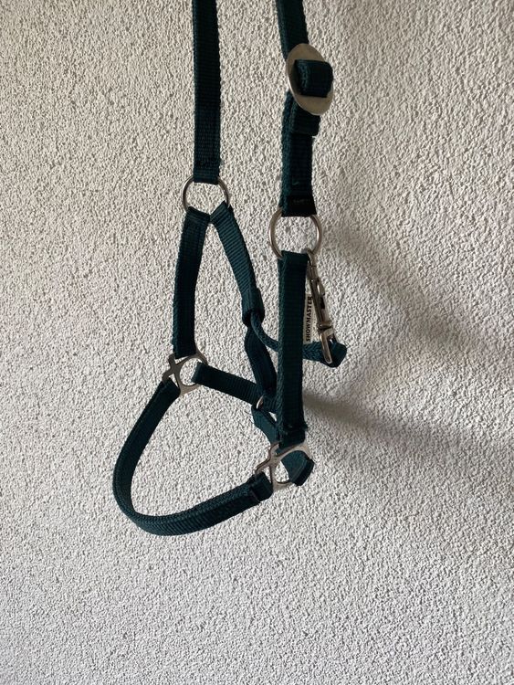 HKM Halfter Berry Für Shetty Ponys - Dunkelgrau Mit Polsterung