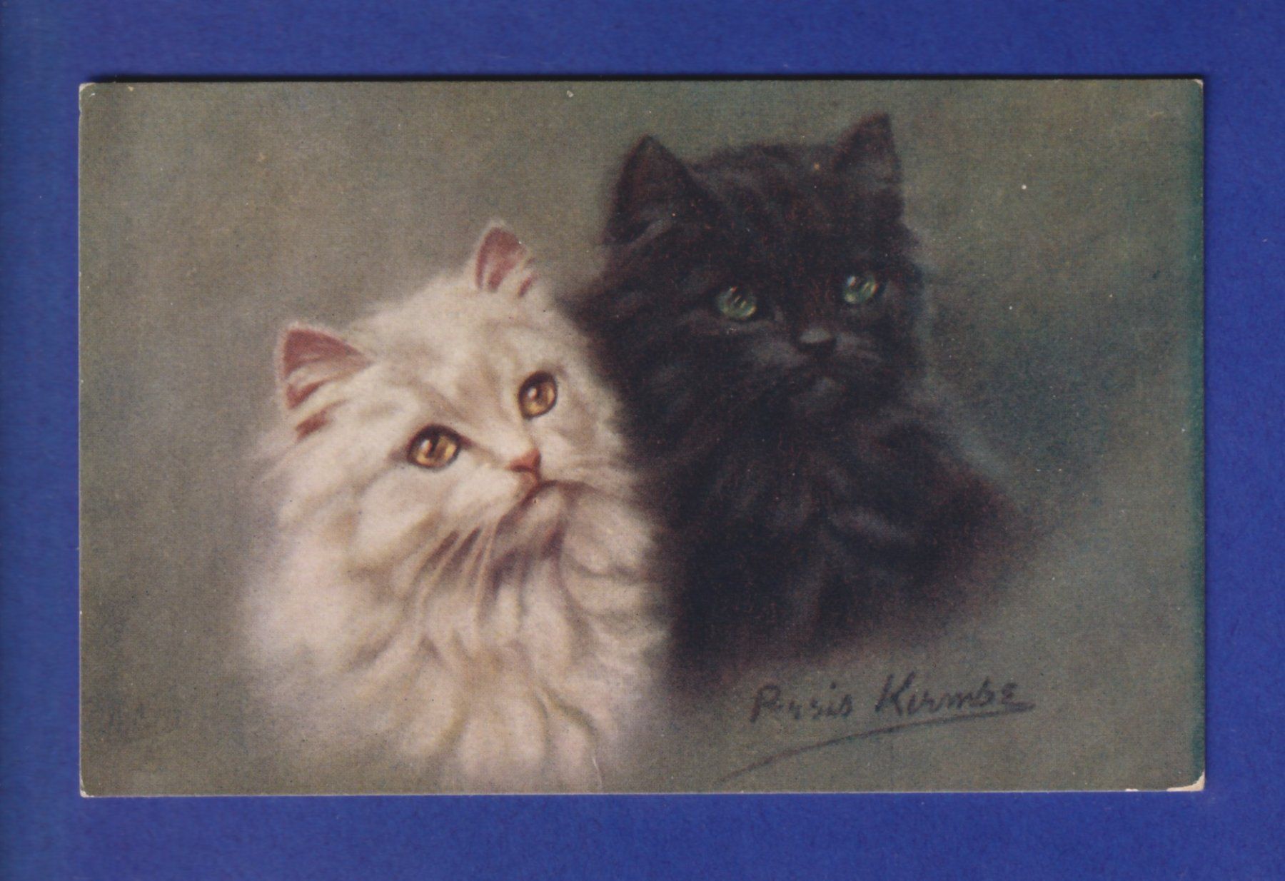Ansichtskarten: CHAT - 2 chats - P. Kirmse – Gebraucht aus Pully von nicecards-shop