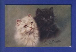 CHAT - 2 chats - P. Kirmse