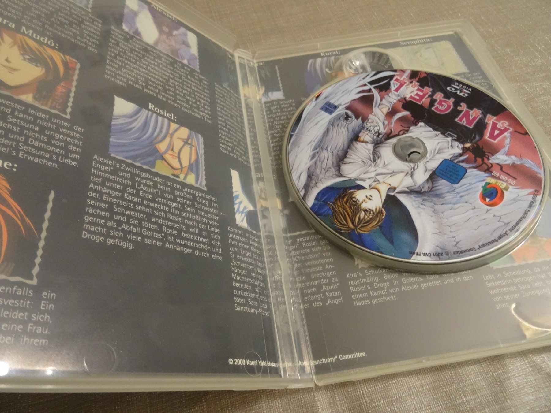 Tutti i DVDs: Angel Sanctuary DVD - Anime – Usato da Olten venduto da Disc-Verkauf 1