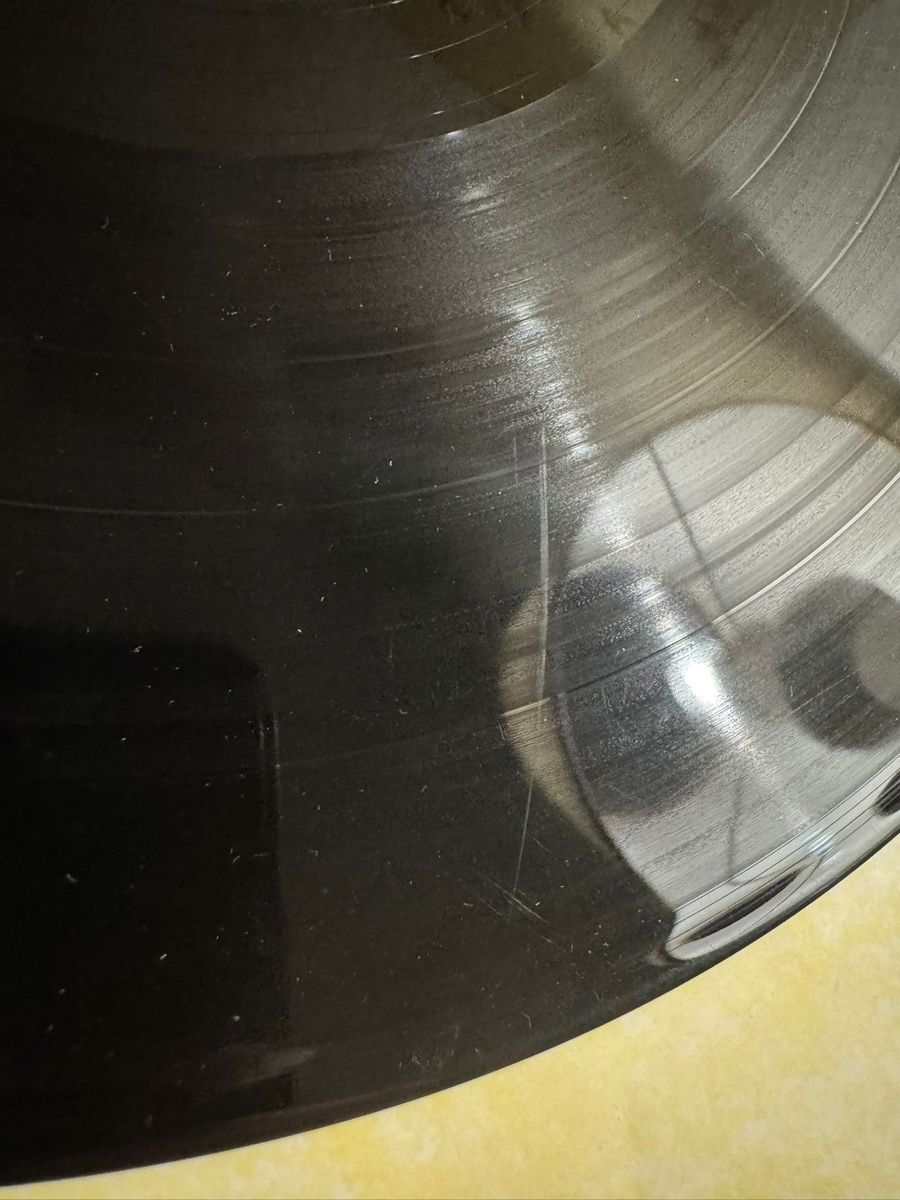 Dischi in vinile: Genisis A Trick of the Tail – Usato da Schübelbach venduto da Niki_Viki08 5