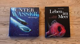 Unter Wasser + Leben im Meer