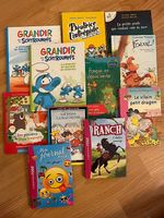 Lot de 11 livres divers en format "poche"