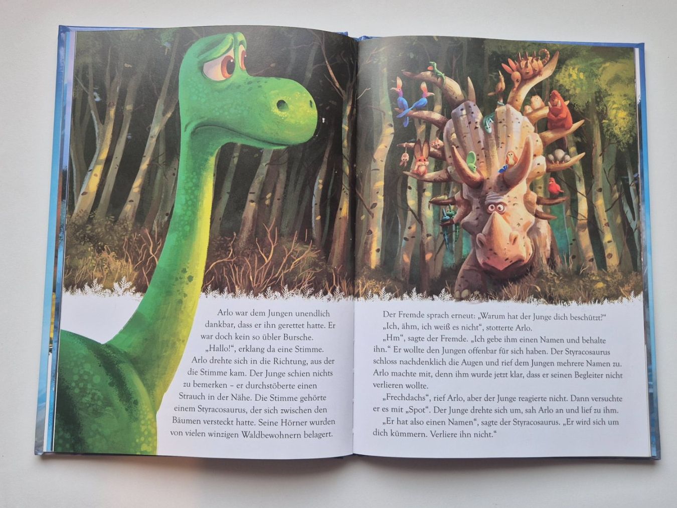 Bücher: ARLO & SPOT    🦕     Disney Pixar – Gebraucht aus Niederweningen von Obson 3