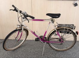Velo Cilo lila/weiss Herren 