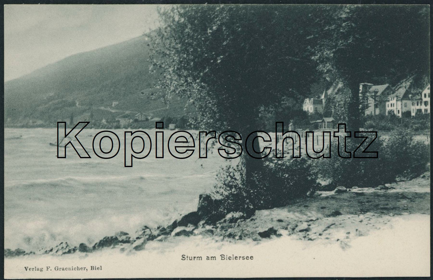 Cartes postales: BE Biel - Bienne – Neuf (Voir description) à Schindellegi par dolpitz