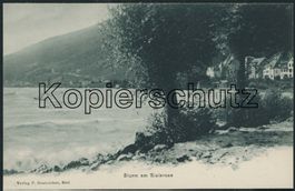 BE Biel - Bienne