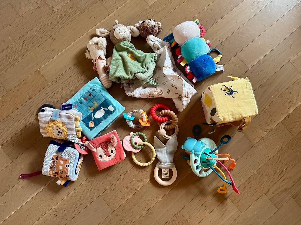 Giocattoli: Babyspielzeug-Sammlung – Usato da Neuenhof venduto da m3nin0