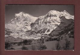 GRINDELWALD - Wetterhorn - 1950