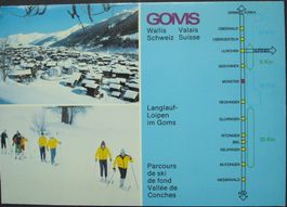 MÜNSTER VS Ski-Langlauf-Loipen im Goms