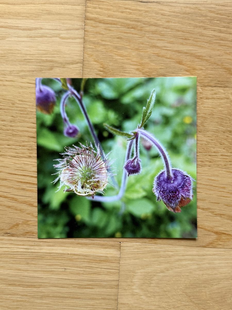 Cartes postales: Fotokarte – Neuf avec emballage d'origine à Riehen par Claudia024
