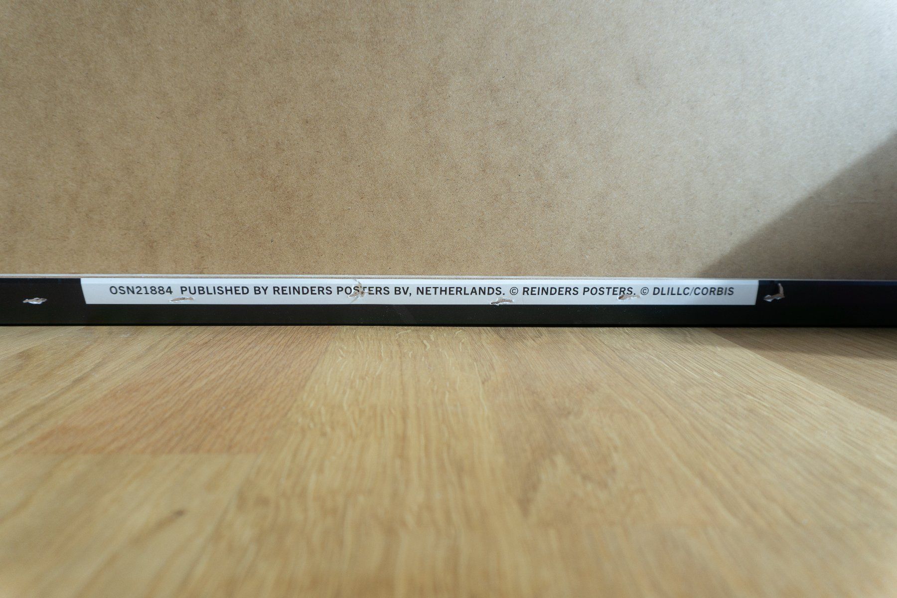 Foto & Immagini: Leinwandbild - The Chimp Stereo – Usato da Strengelbach venduto da JoshNinetyFive 4