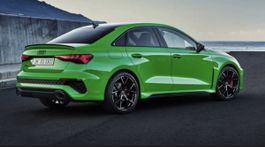 Audi Rs3 8Y Auspuff