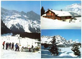 Engelberg - 3 Bild AK