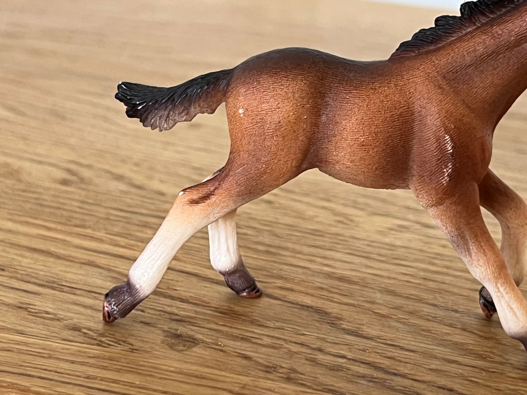 Schleich Statuette: Mustang Fohlen 13807 Schleich – Usato da Ennetbaden venduto da mapa05 7