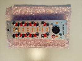 Hexinverter Mutant brain ( Eurorack MIDI to CV Interface )