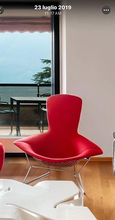 Poltrone: Poltrona Bird di Knoll – Usato da Lugano venduto da lau_s8vn 2
