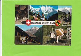 Berner Oberland