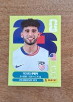 Panini Ricardo Pepi USA 18