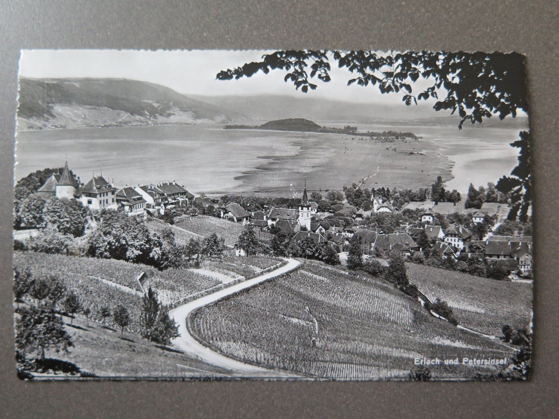 Ansichtskarten: ERLACH UND PETERSINSEL – Gebraucht aus Wittenbach von lipasal
