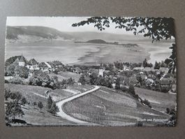 ERLACH UND PETERSINSEL