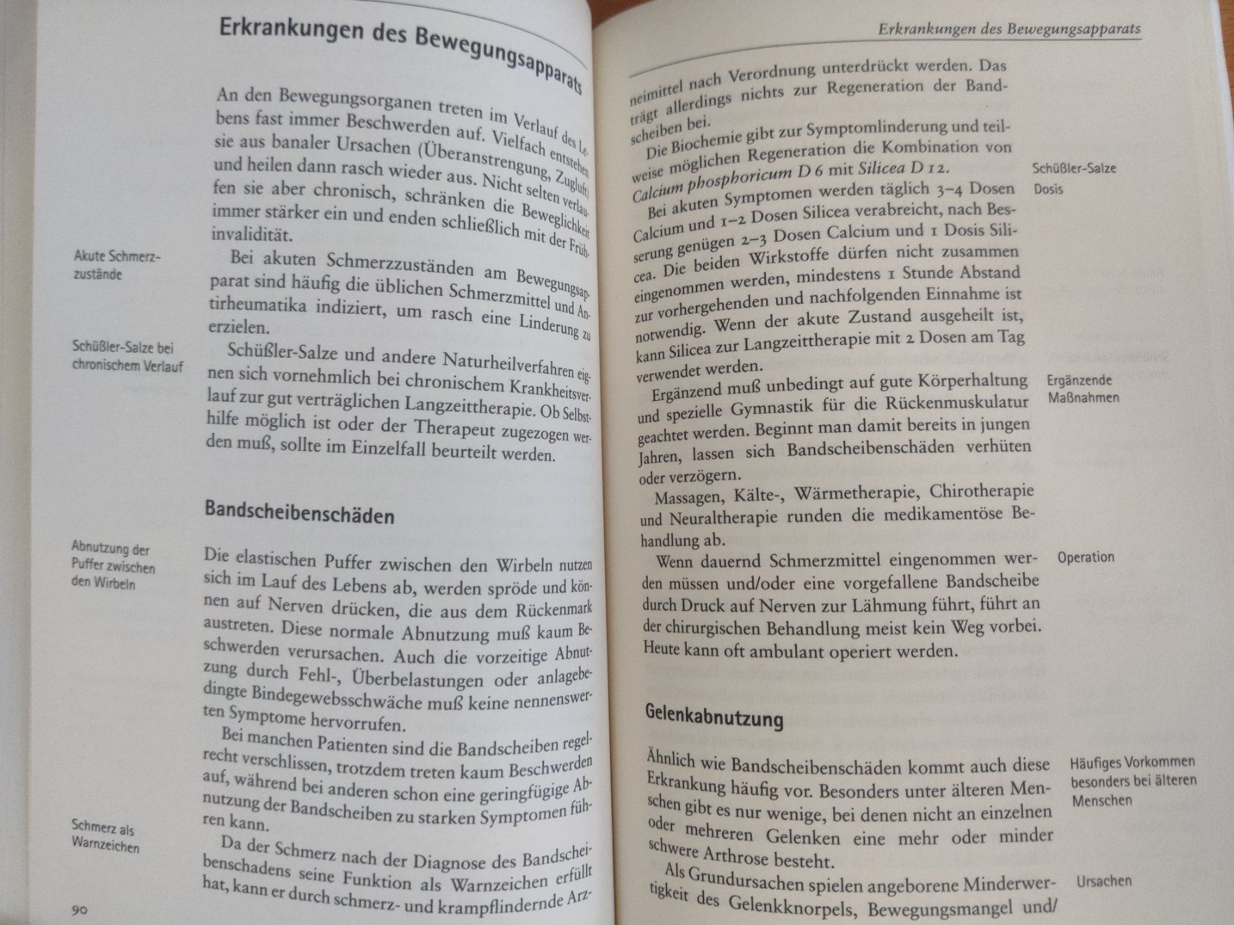 Bücher: Das große Handbuch Schüßler-Salze / Gerhard Leibold - 2007 – Gebraucht aus Muttenz von IkaSul 2