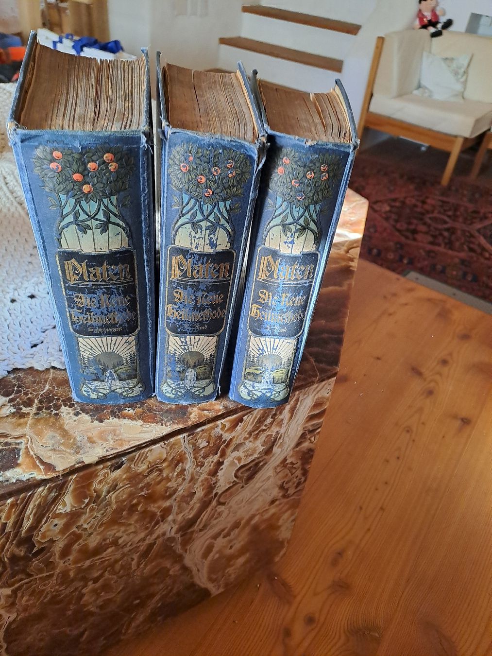 Libri: platen 3 heilbücher – Usato da Ardez venduto da hui_kkb6 1