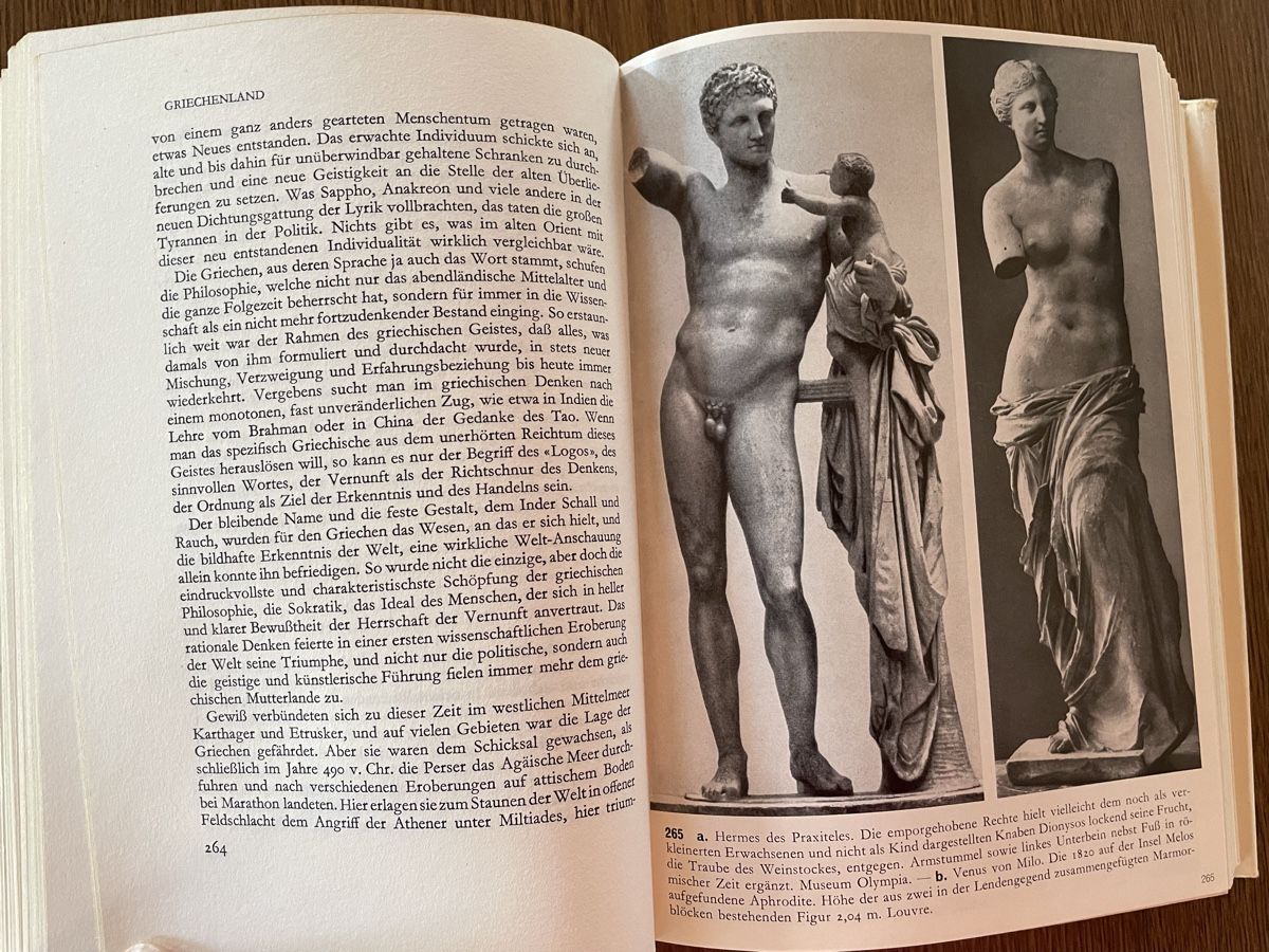 Libri: Kunstgeschichte der Welt – Usato da Wyssachen venduto da Hahe89 5