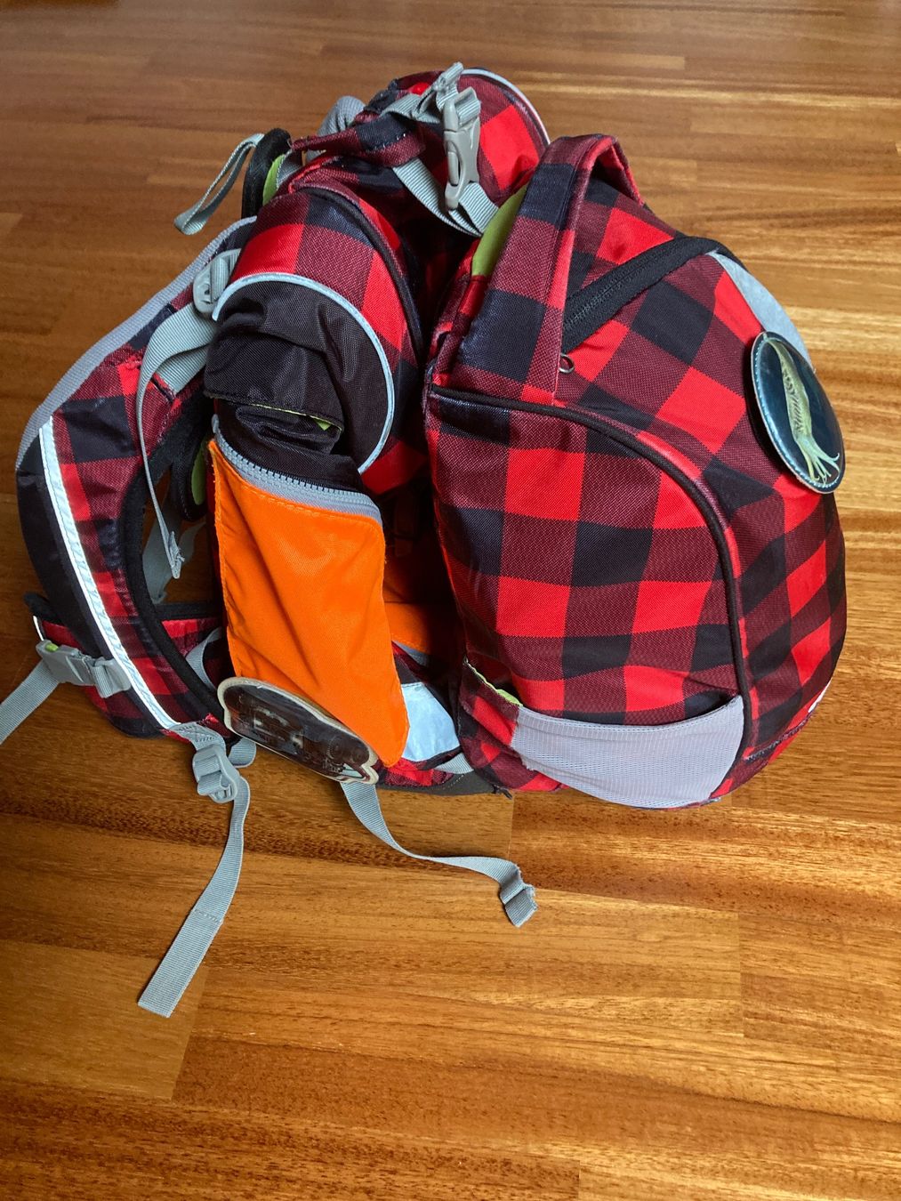 Ergobag Borse & Zaini: Ergobag Schulranzen mit Regenschutz und Turnsack – Usato da Benglen venduto da fla_5n7c 9