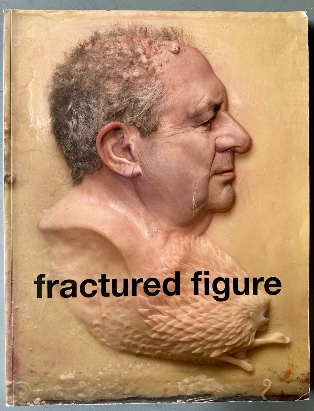 Bücher: fractured figure. Works from the Dakis Joannou Collection – Gebraucht aus Zürich von allp
