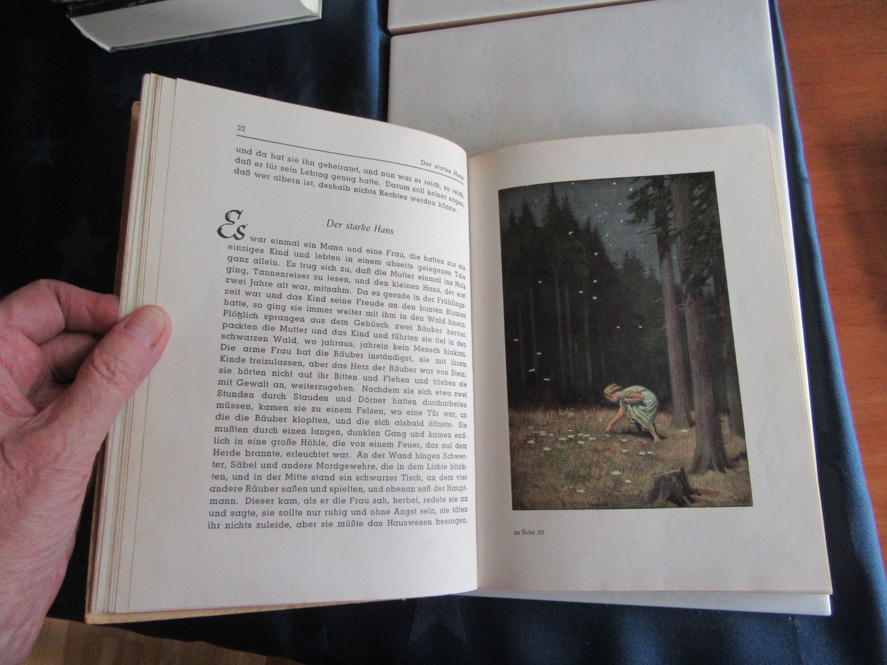 Libri: Brüder Grimms Kindermärchen, altes Buch – Usato da Wattwil venduto da wampi 9