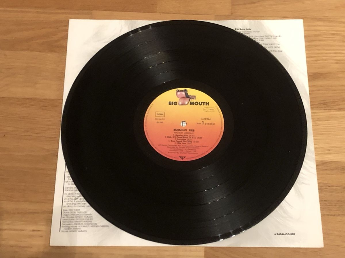 Schallplatten: Hanery Amman. 1980. burning fire – Gebraucht aus Faulensee von Mizuno06 4