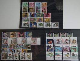 Pro Juventute 1988- 2002, Satz Postfrisch ** Frankaturgültig