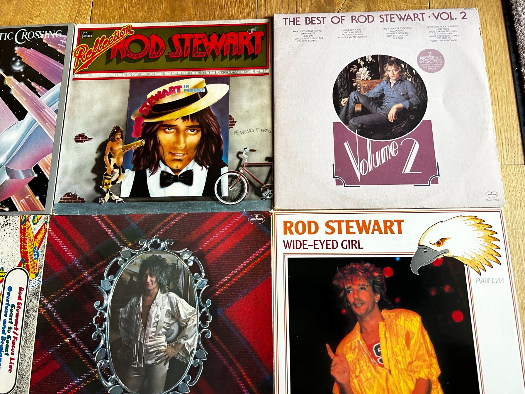 Dischi in vinile: LP Sammlung 12 Alben Rod Stewart Top – Usato da Steinach venduto da Jaguare1961 2