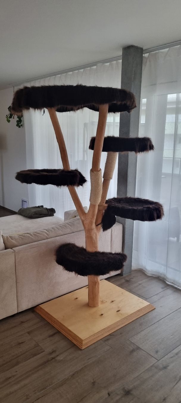 Tiragraffi: Designer Kratzbaum mit 5 Ebenen aus Echtholz – Usato da Hunzenschwil venduto da niicoo