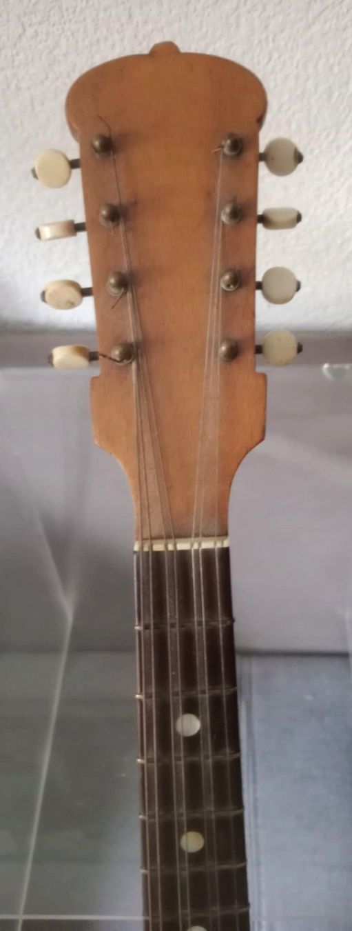 Strumenti musicali: Mandoline Antonio Monzino & Figli / vers 1900 – Usato da Le Locle venduto da borgespatricia 3